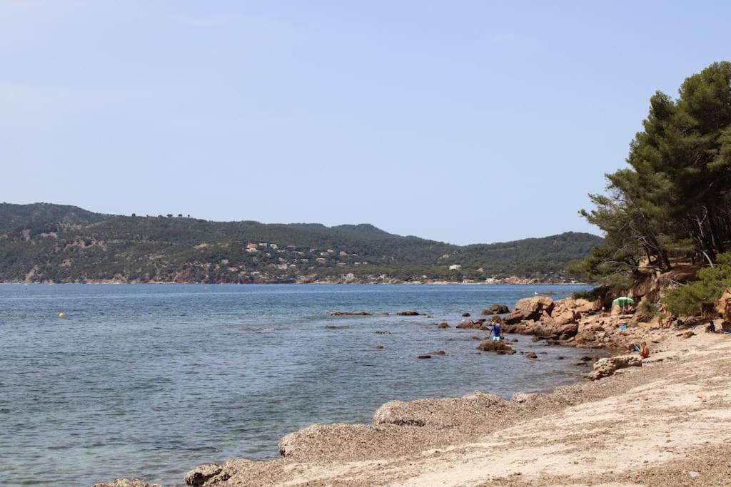Studio L'Echappee Mandreenne Le Calme Entre Mer Et Foret سانت-ماندرييه-سور-مير المظهر الخارجي الصورة