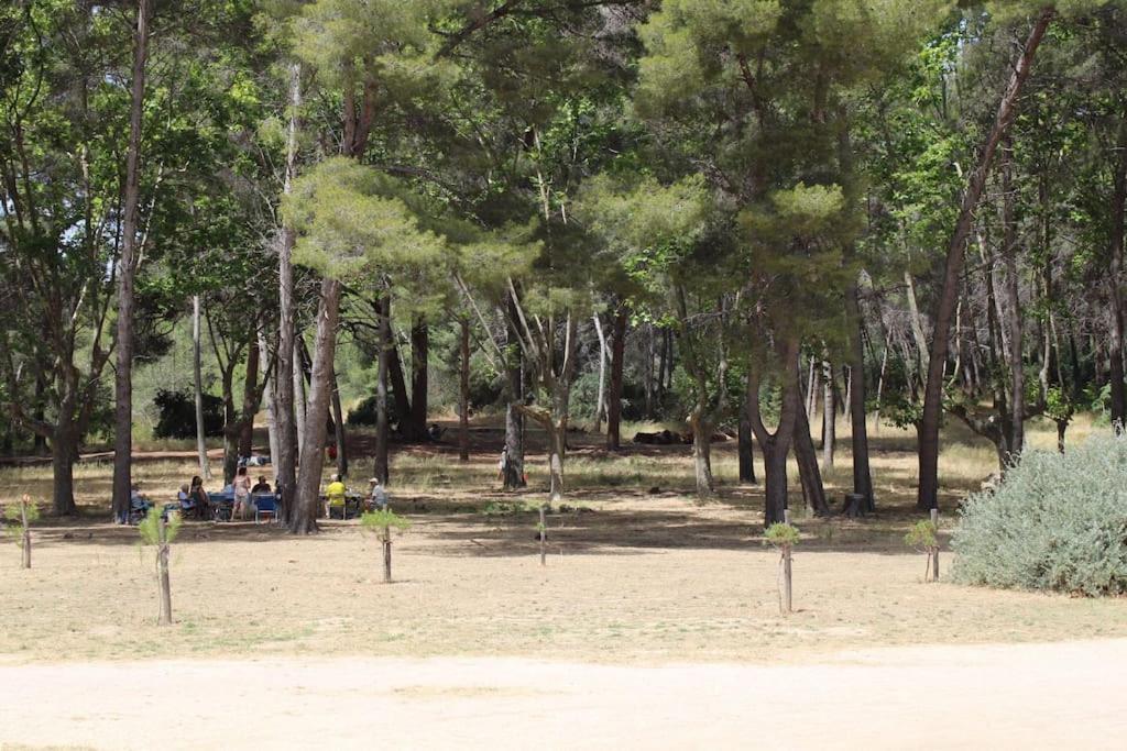 Studio L'Echappee Mandreenne Le Calme Entre Mer Et Foret سانت-ماندرييه-سور-مير المظهر الخارجي الصورة