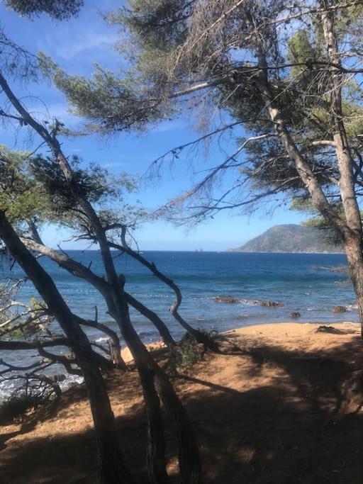 Studio L'Echappee Mandreenne Le Calme Entre Mer Et Foret سانت-ماندرييه-سور-مير المظهر الخارجي الصورة